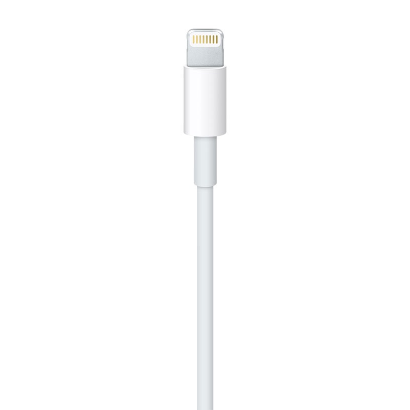 苹果数据线Apple Lightning/闪电转USB 连接线 1米老款iphone